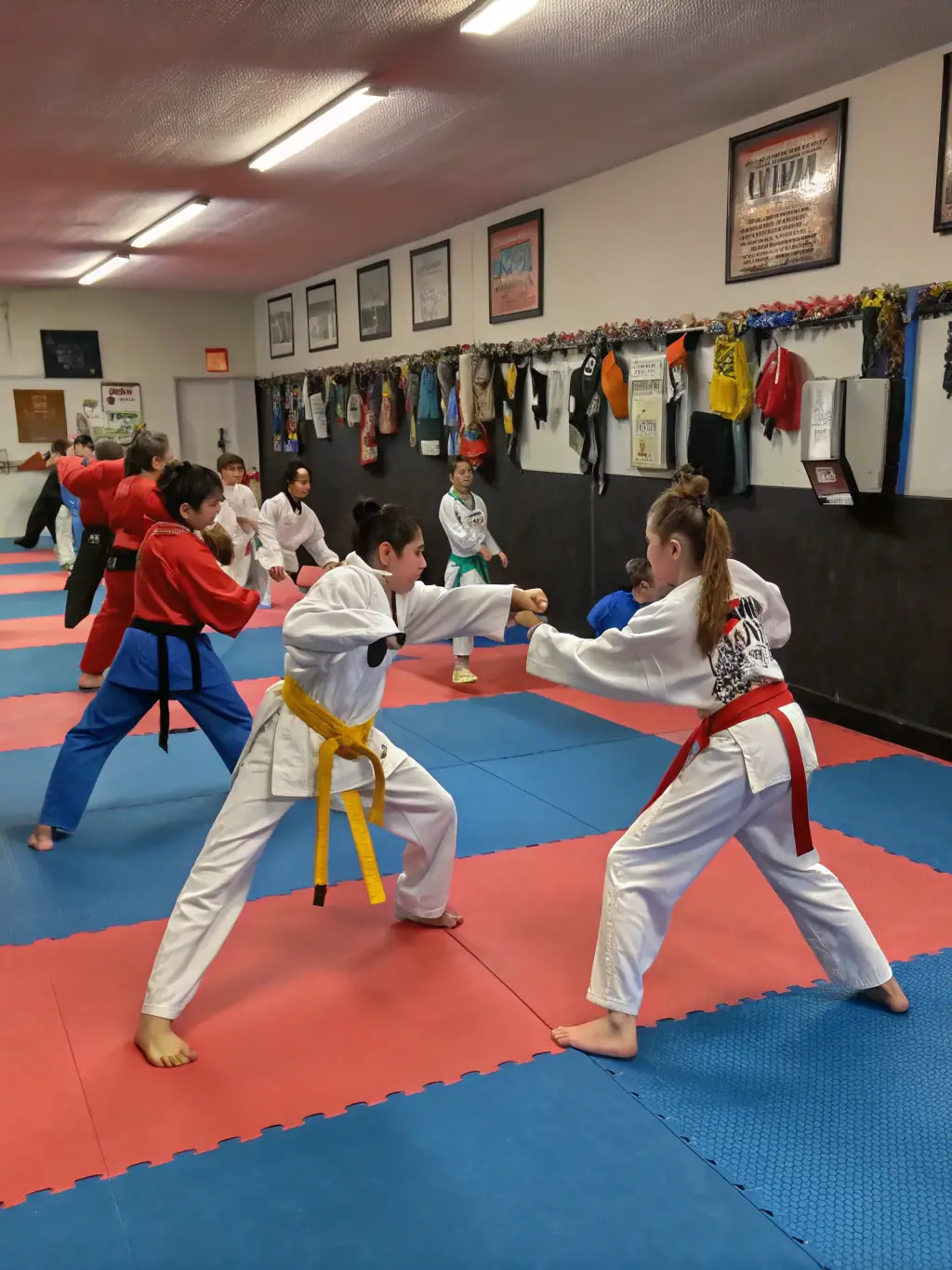 An experienced karate instructor demonstrating a technique to students, highlighting the structured training provided by the association.